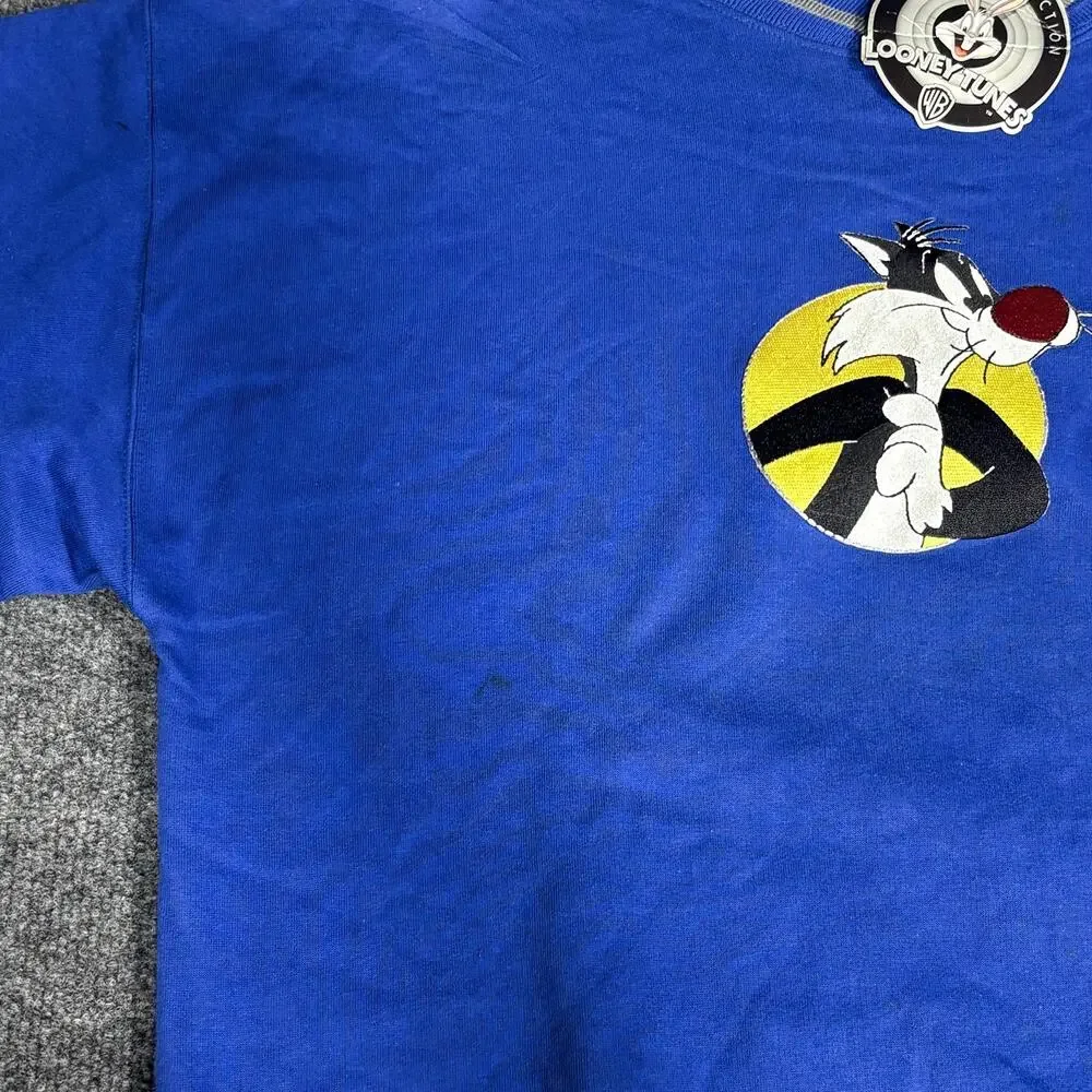 Vintage Looney Tunes Sweatshirt Boys XL 18/20 Blue Sylvester Tweety Graphic